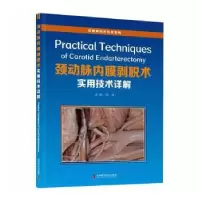 音像颈动脉内膜剥脱术实用技术详解(精)/经典神经外科学系列钱海