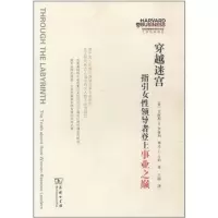 音像穿越迷宫:指女导者登上事业之巅(美)伊格利 (美)卡莉
