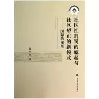 音像社区刑罚的崛起与社区矫正的新模式--国际的视角翟中东