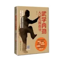 音像武学内劲入门实操指导刘永文