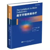 音像磨牙牙髓疾病诊疗Ove