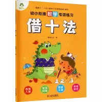 音像幼小衔接数学专项练习 借十法爱德少儿 编