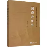 音像湖南音乐史杨和平