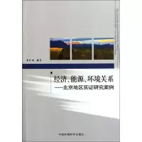 音像经济.能源.环境关系:北京地区实研究案例王虹
