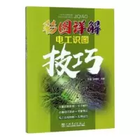 音像彩图详解电工识图技巧张玉 孙雅欣