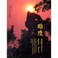 音像昭陵赵琛