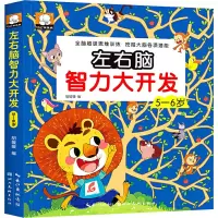 音像左右脑智力大开发 5-6岁胡媛媛 编