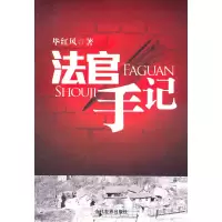音像法官手记红风 著