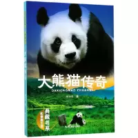 音像大熊猫传奇(影像青少版)/典藏书系刘先平