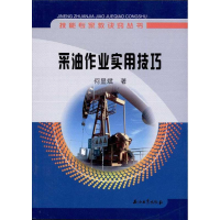 音像采油作业实用技巧何显斌著