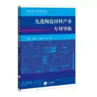 音像陶瓷材料产业专利导航王怀志,胡庆乙,于凌崧,?李检