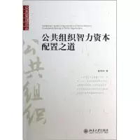 音像公共组织智力资本配置之道/公共管理论丛饶伟国