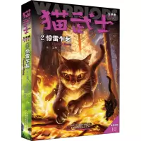 音像惊雷乍起 新译本(英)艾琳·亨特