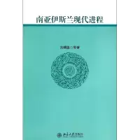 音像南亚伊斯兰现代进程刘曙雄//晏琼英//雷武铃//王旭//王希等