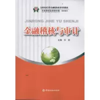 音像金融稽核与审计许莉