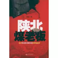 音像陕北煤老板亚东 著