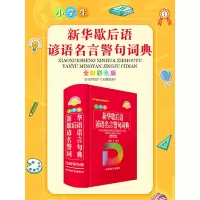 音像小学生新华歇后语谚语名言警句词典(全新彩色版)中国