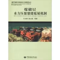 音像煤储层水力压裂裂缝延展机制王生维,陈立超等著