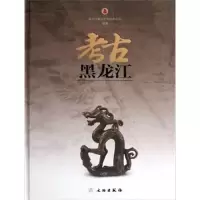 音像考古.黑龙江黑龙江省文物考古研究所编著