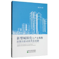 音像新型城镇化与产业集聚政策的联动效用及创新魏文轩