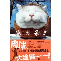 音像猫叔来了(日)我爱猫