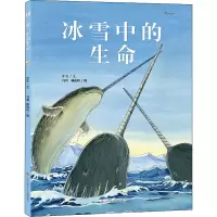 音像冰雪中的生命中宝