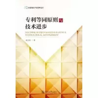 音像专利等同原则与技术进步郑志柱著
