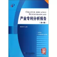 音像产业专利分析报告(附光盘第6册)杨铁军