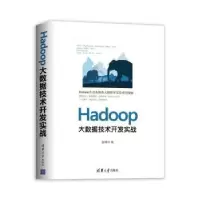 音像HADOOP大数据技术开发实战张伟洋