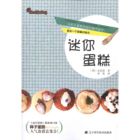 音像迷你蛋糕(韩)金廷恩