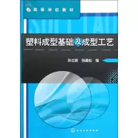 音像塑料成型基础及成型工艺(孙立新)孙立新//张昌松