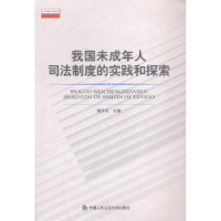 音像我国未成年人司法制度的实践和探索郭开元主编