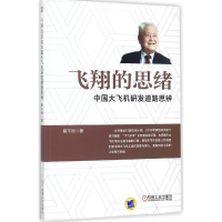 音像飞翔的思绪(中国大飞机研发道路思辨)程不时
