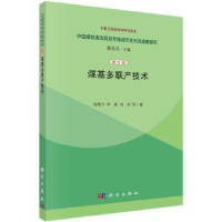 音像煤基多联产技术倪维斗,李政,刘培等著