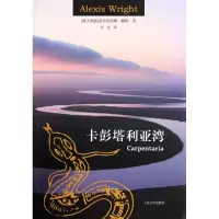 音像卡彭塔利亚湾(澳大利亚)赖特