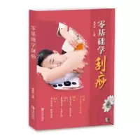 音像零基础学刮痧成向东