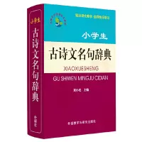 音像小学生古诗文名句辞典(小学语文工具书系列)刘小光