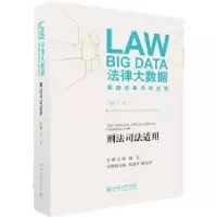 音像刑法司法适用王竹