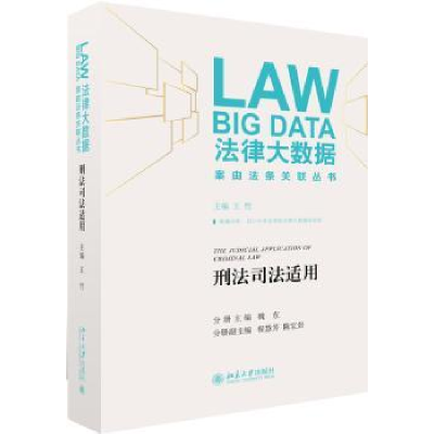 音像刑法司法适用王竹