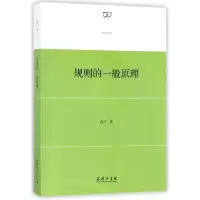 音像规则的一般原理俞江