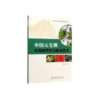 音像中国元宝枫生物学特与栽培技术王炎