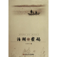 音像泊湖的密码刘鹏程