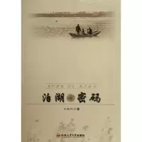 音像泊湖的密码刘鹏程