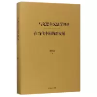 音像马克思主义学理在当代中国的新发展(精)蒋传光