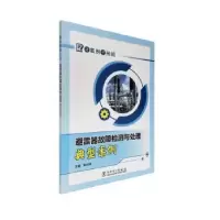 音像避雷器故障检测与处理典型案例刘兴华主编