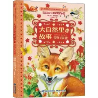 音像大自然里的故事 荒野火狐狸(俄罗斯)尼·斯拉德科夫