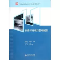 音像软件开发项目管理操作旭