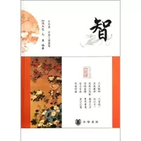 音像智/陈杰思 毛勇编著陈杰思//毛勇