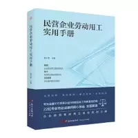 音像民营企业劳动用工实用手册徐小安主编