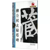 音像柳公权玄秘塔碑/大家书院系列编者:聂文豪//文师华